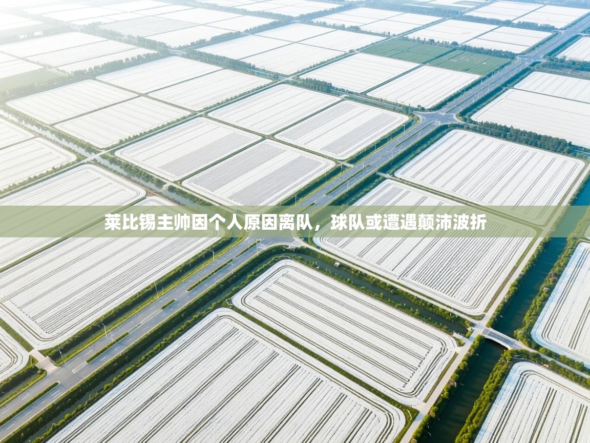 莱比锡主帅因个人原因离队，球队或遭遇颠沛波折  第1张