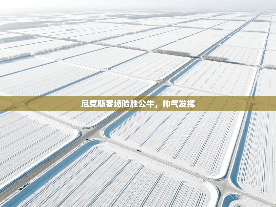 尼克斯客场险胜公牛，帅气发挥