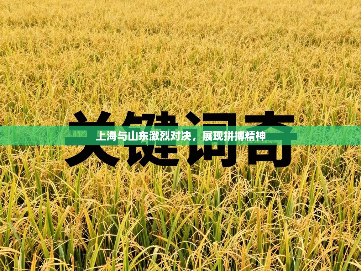 上海与山东激烈对决，展现拼搏精神  第2张